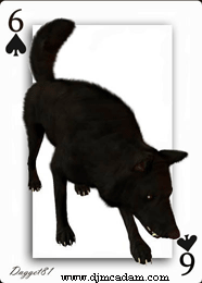 Dog playing card