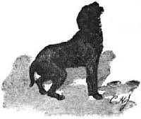 Helen JR Bruce on X: You can read my full article 'Meeting the Black Dog'  in the October edition of @WitchMagazine which is available for instant  download here:  #blackdog #folklore #witch #